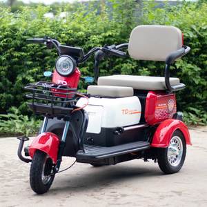 <span class=keywords><strong>Triciclo</strong></span> Eléctrico Inteligente de Gran Potencia de 600w, el Más Nuevo del 2026, en Existencia - Product Image 2