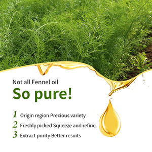 Minyak adas organik alami pasokan minyak esensial adas massal untuk penggunaan kelas makanan - Product Image 2