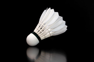 Bán buôn bwf ngỗng lông tự nhiên nút chai cầu lông đưa đón lingmei 90pro - Product Image 6