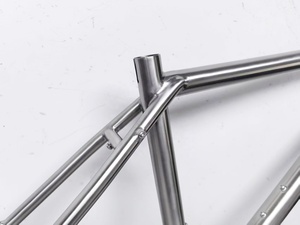 Oferta Especial: Cuadro de Bicicleta de Titanio OEM 700C con Diseño de Acopladores S&S, Transmisión por Correa, Desviador y Patillas Deslizantes <span class=keywords><strong>Rohloff</strong></span> para Ciclismo en Gravel - Product Image 5