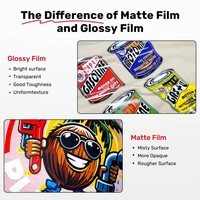 Rouleau de film DTF InkSonic 30cm/33cm, film PET pour transfert thermique pour imprimantes DTF, impression numérique, film transparent respectueux de l'environnement