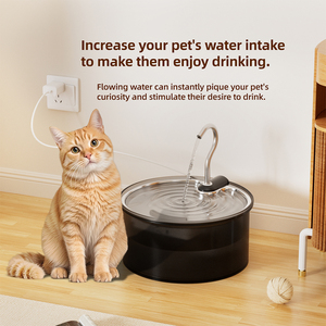 <span class=keywords><strong>Meilleure</strong></span> Vente <span class=keywords><strong>Fontaine</strong></span> à <span class=keywords><strong>Eau</strong></span> Automatique Portable pour Chiens et Chats en Acier Inoxydable avec Filtre Remplaçable Distributeur d'<span class=keywords><strong>Eau</strong></span> Écologique pour Animaux de Compagnie - Product Image 6