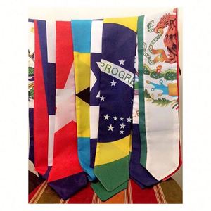 Estola de Graduación Personalizada con los Colores de tu Escuela, Rayas Personalizadas, Regalo de Graduación, Graduación Universitaria, Clase de 2025 - Product Image 6