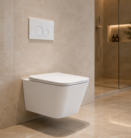 WC mural en céramique à double chasse, avec réservoir encastré, émail autonettoyant Nano, résistant aux taches et facile à nettoyer, pour approvisionnement en gros