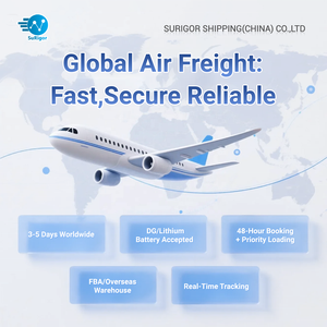 Spedizione DDP di Merci Pericolose e Batterie via Aerea dalla Cina all'India in 5-7 Giorni, Trasporto SURIGOR con Assicurazione - Product Image 6