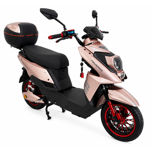 Nueva Motocicleta Eléctrica de Fábrica China, Scooter de 1000w con Batería de Plomo-Ácido, Modelo Xsd-216 - Product Image 6