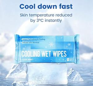 Lingettes rafraîchissantes biodégradables sans alcool, emballées individuellement, sensation de fraîcheur, pour une utilisation quotidienne et sportive - Product Image 1