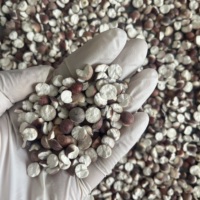 2031 Graines de Gorgon Euryale séchées, non coupées, sans soufre, de haute qualité pour l'alimentation