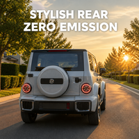 Nouveau mini SUV électrique à énergie nouvelle, apparence robuste, batterie longue portée pour le transport personnel des adultes