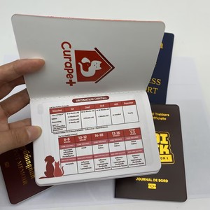 Livret <span class=keywords><strong>de</strong></span> passeport personnalisé avec logo en feuille d'or, impression couleur intégrale, format passeport, pour voyages et films - Product Image 2