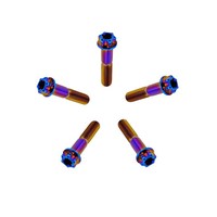 TOBO boulons en titane vis à tête à bride Torx avec trous boulon à tête hexagonale vis plaquées titane boulon