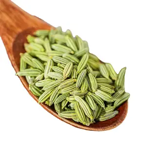 ZZH Various spices support OEM or ODM to obtain free samples poudre fennel seeds wholesale
