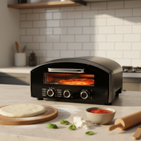 Four à pizza électrique certifié CE, construction en acier inoxydable, contrôle numérique, contrôlé par application, portable, commercial, extérieur, voiture