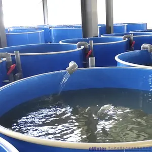 Ewater Ras Fish Farming Automatic Fish Hatchery System And Incubator Period Of Fish Eggs