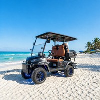 Voiturette de golf électrique pour zone touristique en zone herbeuse, 2, 4 ou 6 places, moteur AC 72V 7.5KW, batterie au lithium, pour navette de camping en prairie, homologuée DOT