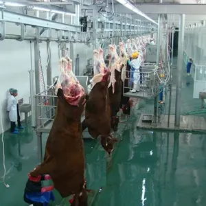 Buffalo Meat Slaughterhouse With Slaughter Equipment Halal Style