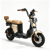 Scooter électrique vintage à deux places, batterie amovible 48V, frein à disque avant, vélo électrique pour adultes, idéal pour les trajets en ville
