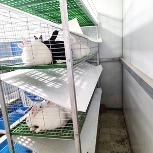 Jaula Comercial <span class=keywords><strong>para</strong></span> Engorde y Cría de <span class=keywords><strong>Conejos</strong></span> de Raza de Pelo Largo, 9 Posiciones, Alimentación/Bebedero Automático - Product Image 5