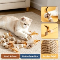 Ensemble de jouets pour chat en sisal naturel avec queue en plumes, souris, oiseau, balle, jouets interactifs à mâcher et à gratter pour chats d'intérieur et chatons