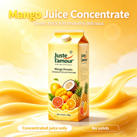 Commerciële drankbasis zoetzuur mango pomelo sago geconcentreerd fruitsap siroop voor dessert dranken