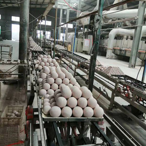 Industriële zirkonium-aluminiumoxide keramische kogels, hoge dichtheid, slijtvast, maalmedium voor frees- en polijstapparatuur - Product Image 4