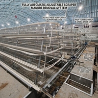 Prix de gros de septembre : Cage d'élevage entièrement automatique de type A pour 500-2000 poussins, usine autonome avec une expérience de près de 20 ans, nouveau magasin Alibaba
