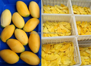 Giá tốt tự động thương mại xoài Peeler máy tự động công nghiệp trái cây xoài thép không gỉ pitter và <span class=keywords><strong>Slicer</strong></span> để bán - Product Image 6