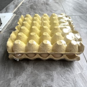 Khay niêm phong thu nhỏ máy bao bì khay trứng máy bao bì thu nhỏ màng bao bì thu nhỏ cho khay trái cây - Product Image 2