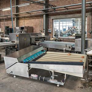 Équipement de tri automatique des œufs compact, 2000 œufs par heure, machine de classement à pendule en acier inoxydable - Product Image 4