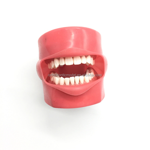 Sản Phẩm Nha Khoa Nha Khoa Thiết Bị Bàn Loại Nha Khoa Người Lùn Phantom Đầu Nha Khoa Mô Phỏng Thực Hành - Product Image 6