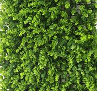 Mur d'herbe verte verticale de panneau mural de haie de buis artificiel de 40*60 cm pour la décoration extérieure de cour de jardin