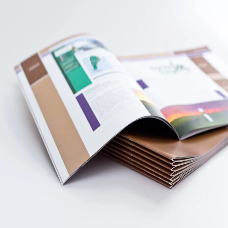 Booklet Printing Services Custom Mixed Color Business Menu Trade Show FSC Disposable Booklet
