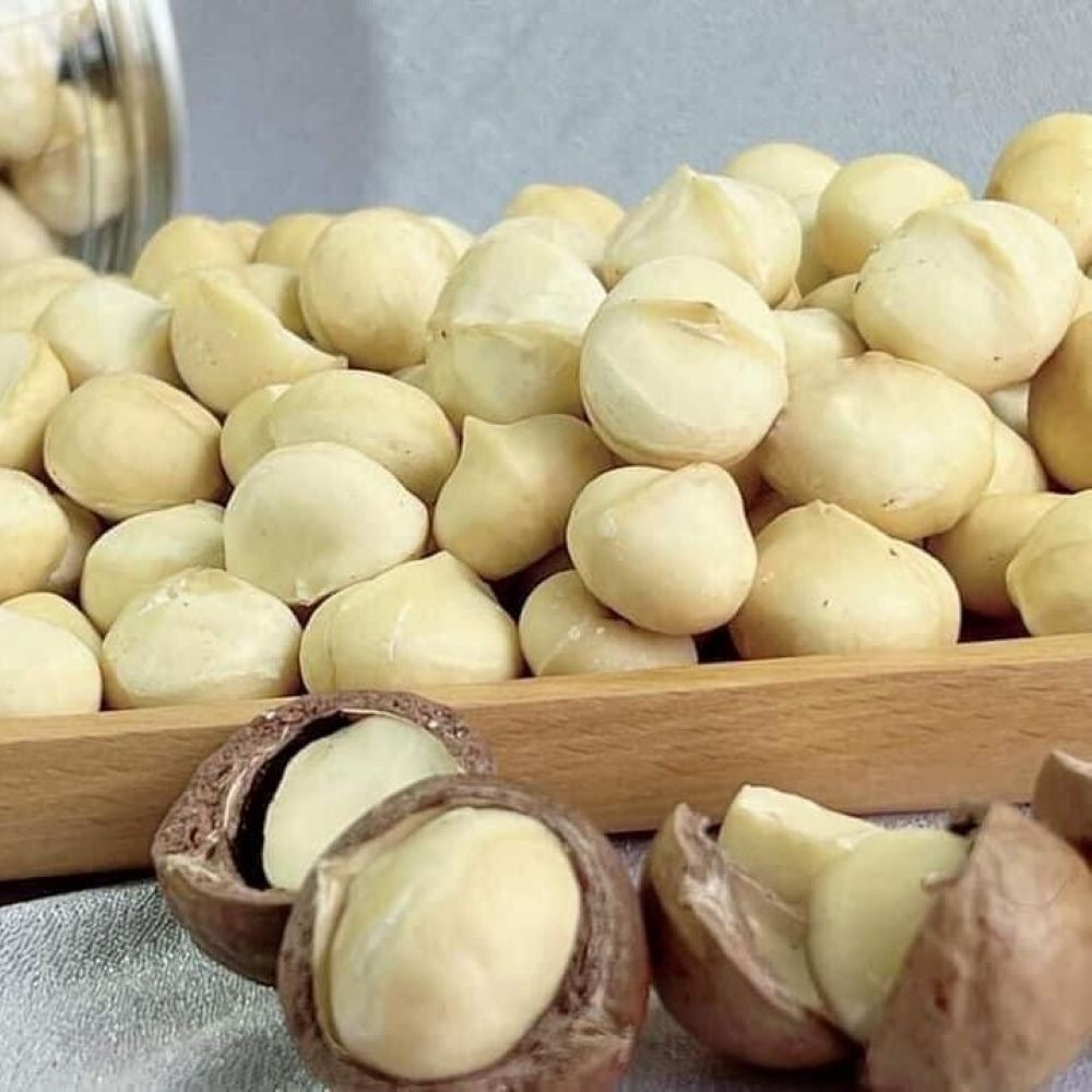 Taille 29-35 Prix compétitif Noix de macadamia Noix de macadamia de haute qualité de Chine