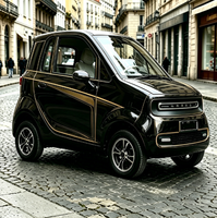 Voiture électrique mini L6e homologuée norme européenne, deux places, vitesse 45 km/h, moteur 3 kW entièrement personnalisable, faible coût d'exploitation