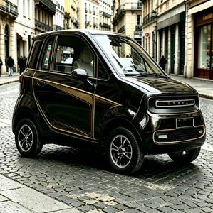 Voiture électrique mini L6e homologuée norme européenne, deux places, vitesse 45 km/h, moteur 3 kW entièrement personnalisable, faible coût d'exploitation - Product Image 2