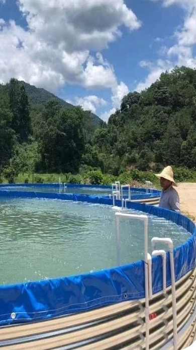 Large RAS Aquaculture System Fish Tanks - High Density Breeding