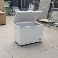 Congélateur horizontal à refroidissement direct, grande capacité 200L, économie d'énergie pour restaurant, cuisine et usage domestique commercial