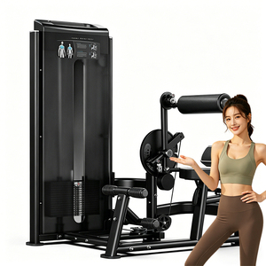 Dual Abdominal Isolator / Back Extension Multi-Back & Core Home Gym Equipment for Strength Training WD-F2088 Your Trusted - Product Image 1