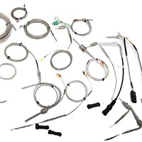 Sonde de thermocouple de type MI en acier inoxydable SS304, type K, 191