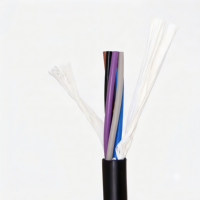 Kabel Daya Tembaga Berisolasi PVC Portabel SJT, Kabel Fleksibel untuk Penggunaan Bangunan & Industri (14-20 AWG)