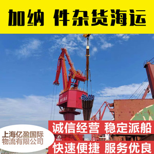 Buques de carga a granel y buques Roll On Roll Off, modelo internacional para envíos de importación y exportación desde Shanghái y Tianjin al puerto de TEMA - Product Image 5
