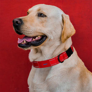 <span class=keywords><strong>Collar</strong></span> reflectante para perro con correa totalmente ajustable, parche impreso personalizado, <span class=keywords><strong>Collar</strong></span> duradero de nailon para perro para seguridad nocturna - Product Image 2