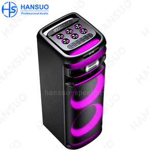 Usine HANSUO Marque Puissance de <span class=keywords><strong>100W</strong></span> Double 12 pouces Woofer et Tweeter Unique Haut-parleur Portable HS-TD1299 - Product Image 3