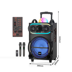 NDR-M121 Haut-parleur stéréo sans fil de 12 pouces pour extérieur avec micros, haut-parleur portable pour fête DJ avec chariot en bois - Product Image 2