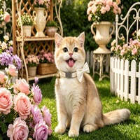 Collier pour chat en velours côtelé mignon avec boucle de sécurité détachable, réglable, décoration pour collier de chat, vente en gros, directement de l'usine