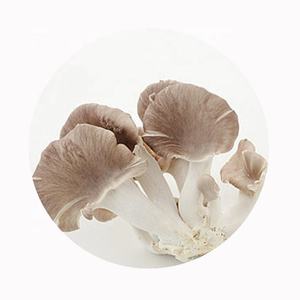 Makanan makanan ringan sehat Tiongkok vakum jamur tiram kering jumlah besar <span class=keywords><strong>OKRA</strong></span> kemasan Harga Bagus Untuk pembeli - Product Image 5