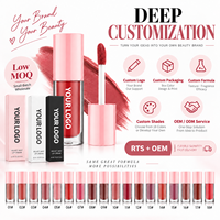 Huile à lèvres repulpante RTS 6ml, hydratante, brillance intense, gloss teinté, faible MOQ 2 pièces, vente en gros, logo personnalisé