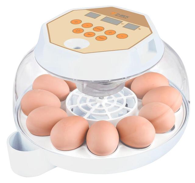 Customized Automatic 12 Chicken/Duck Egg Incubator High Hatch Rate with Refrigeration & Heat Exchange Equipment
