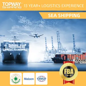 ブルキナファソ/アババエチオピア/マレーシアに直接出荷される貨物輸送および宅配便サービス中国 (米国)