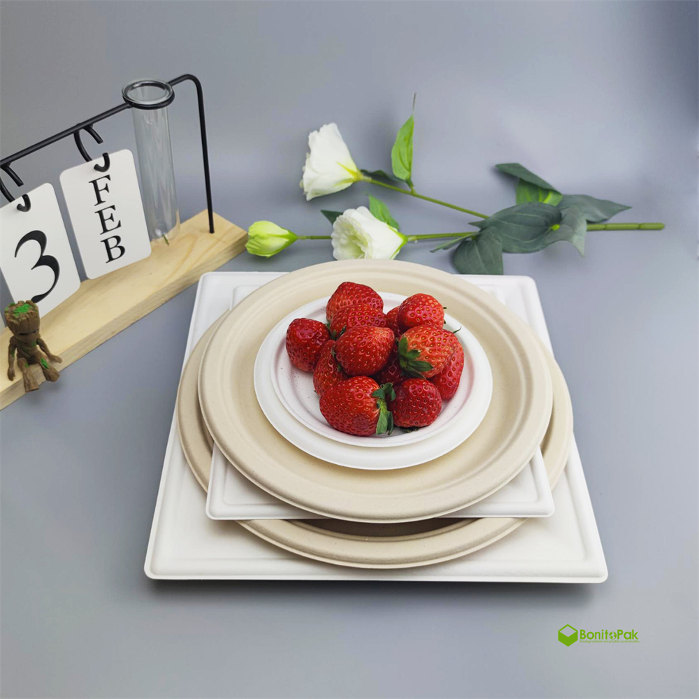 9 Inch 100% Compostable Customized Green Fast Food Tray Pulp Tableware Biodegradable Disposable Bagasse Sugarcane Paper Plates